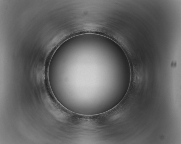 X0000111230486200907091339