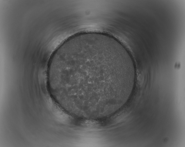 X0000111230487200907091339
