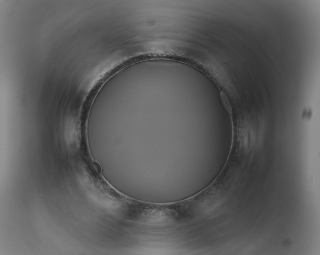 X0000111230488200907091339