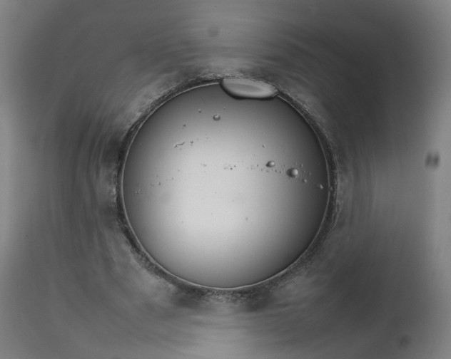 X0000111230489200907091339