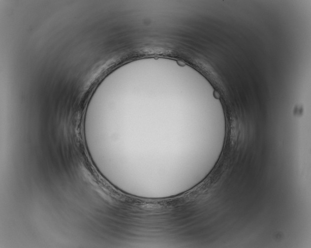 X0000111230490200907091339