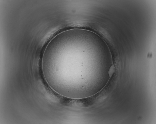 X0000111230491200907091339