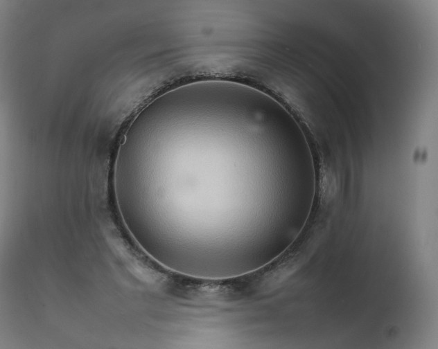 X0000111230493200907091339