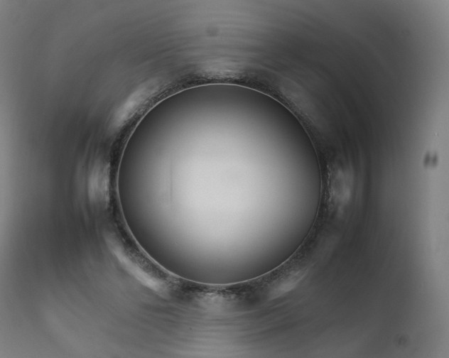 X0000111230494200907091339