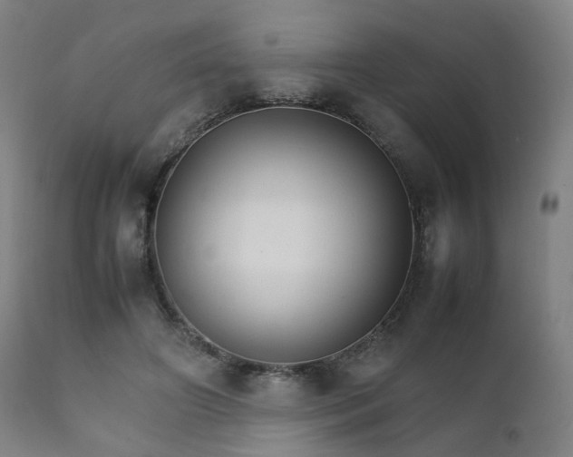 X0000111230498200907091339