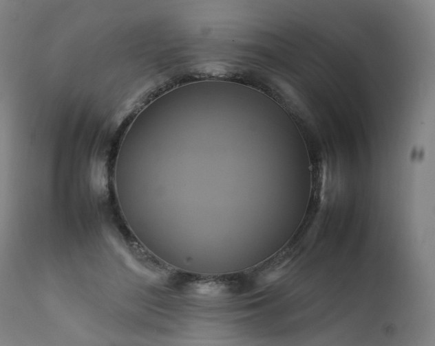 X0000111230500200907091339
