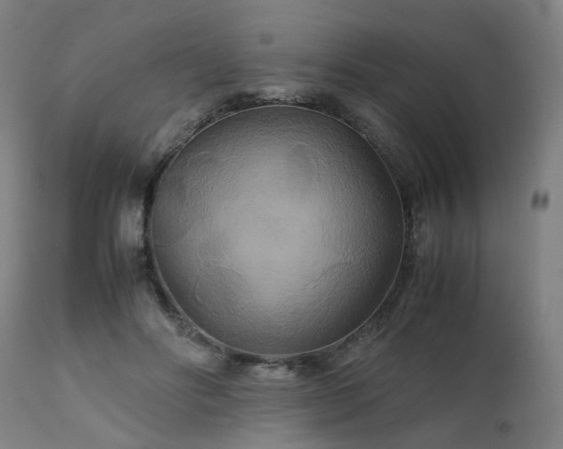 X0000111230502200907091339