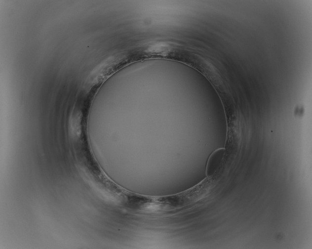 X0000111230504200907091339