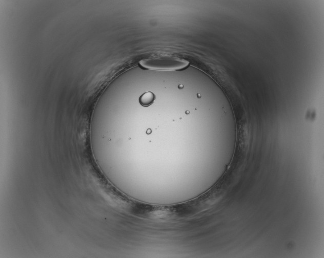 X0000111230505200907091339
