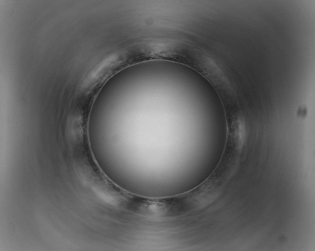X0000111230506200907091339