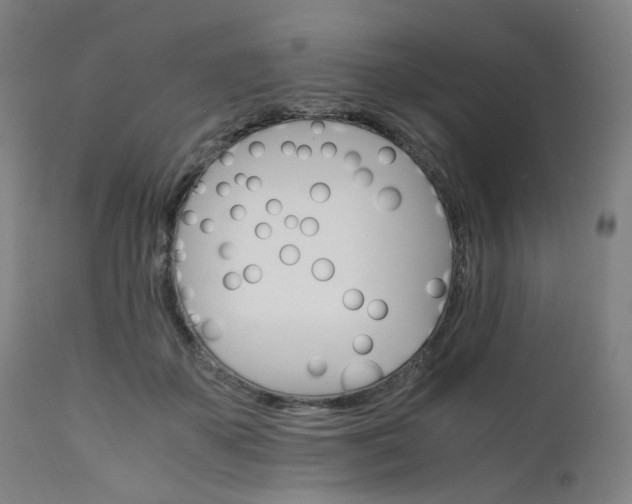 X0000111230507200907091339