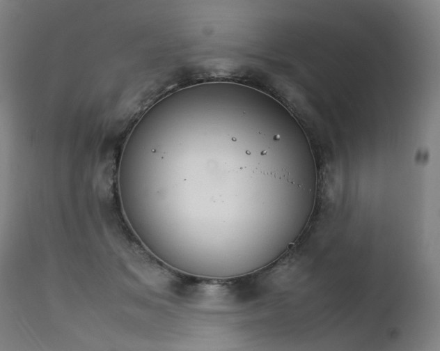 X0000111230509200907091339