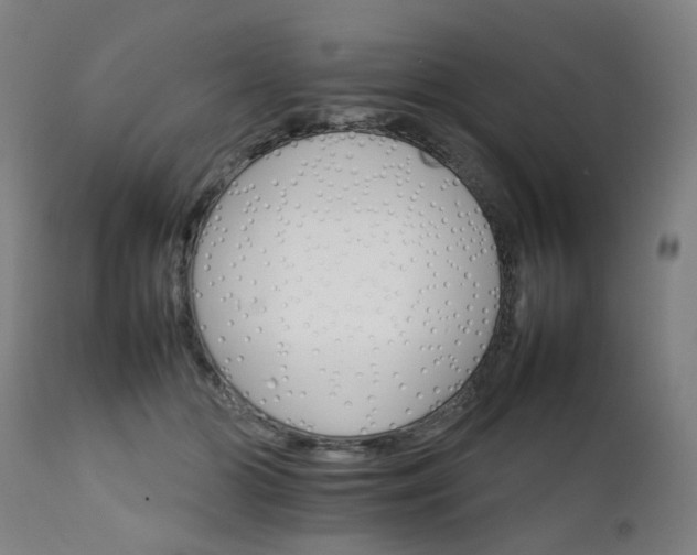 X0000111230510200907091339