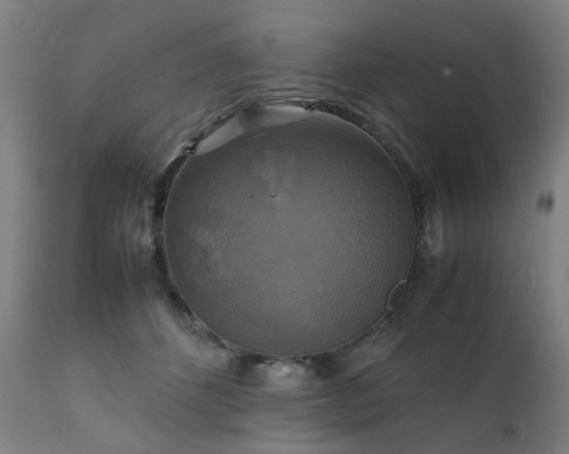 X0000111230512200907091339