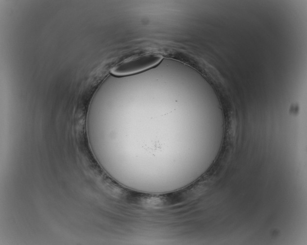 X0000111230513200907091339