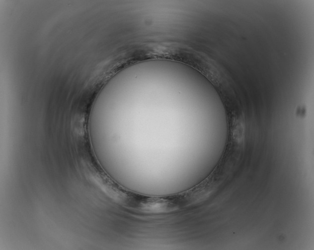 X0000111230514200907091339