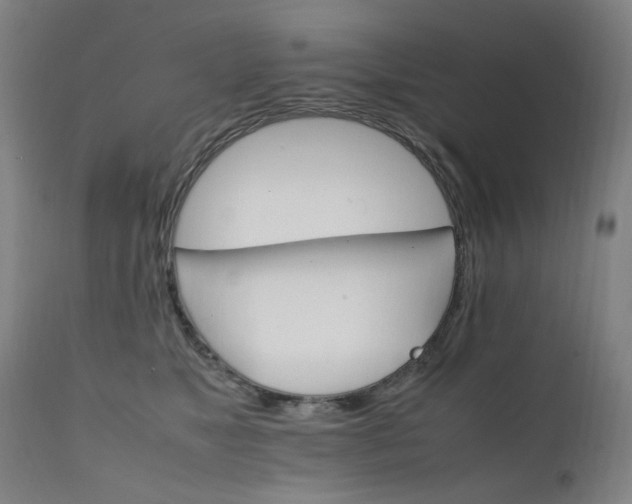 X0000111230517200907091338