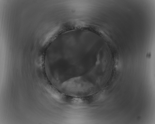 X0000111230519200907091338