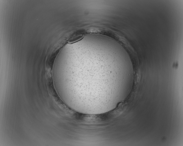 X0000111230521200907091338