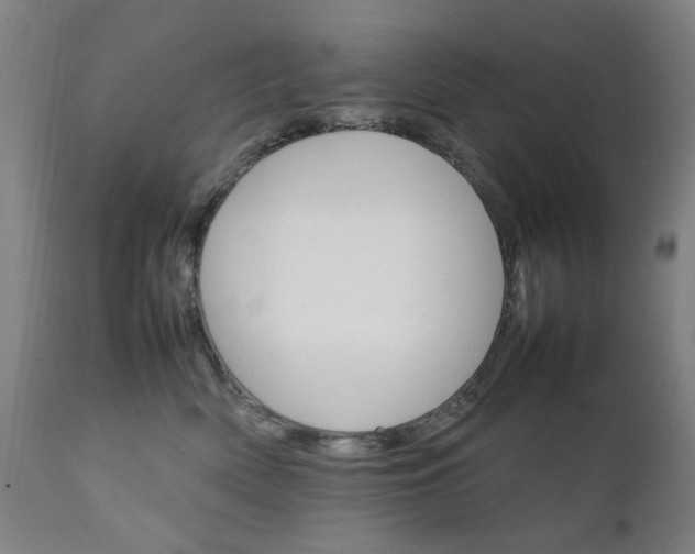 X0000111230522200907091338