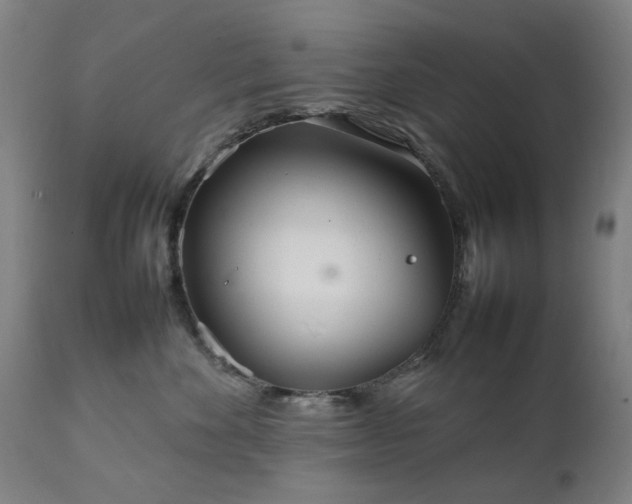 X0000111230524200907091338