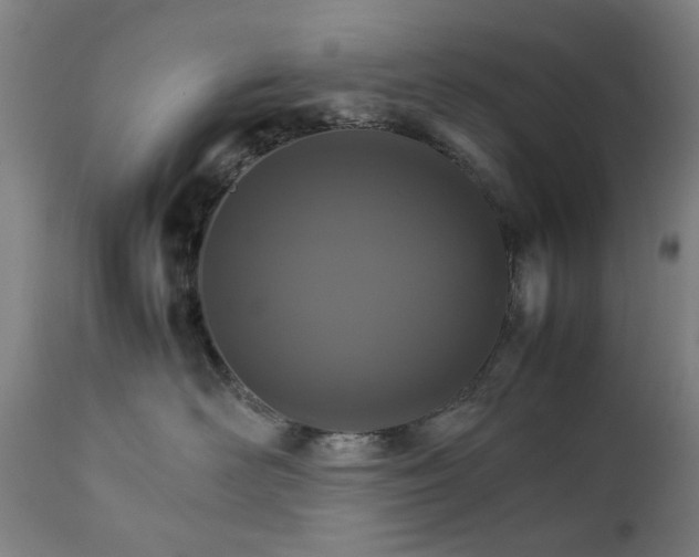 X0000111230526200907091338