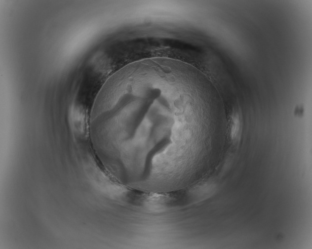 X0000111230527200907091338