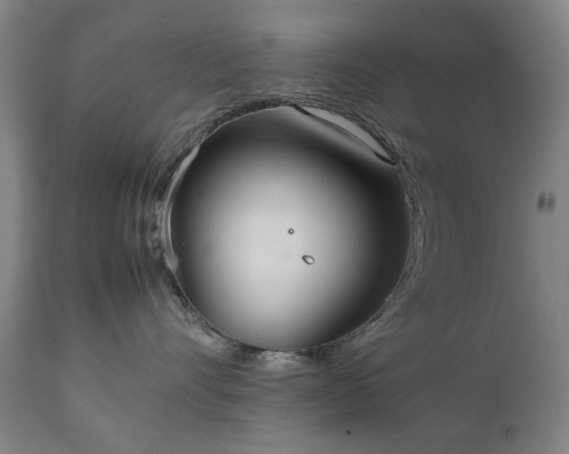 X0000111230528200907091338