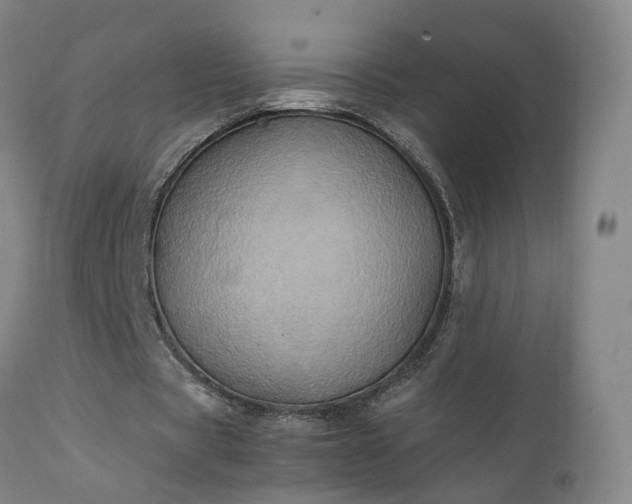 X0000111230529200907091337