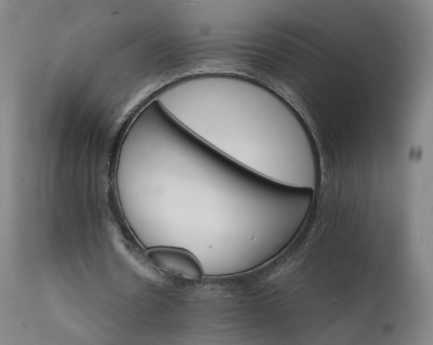 X0000111230530200907091338