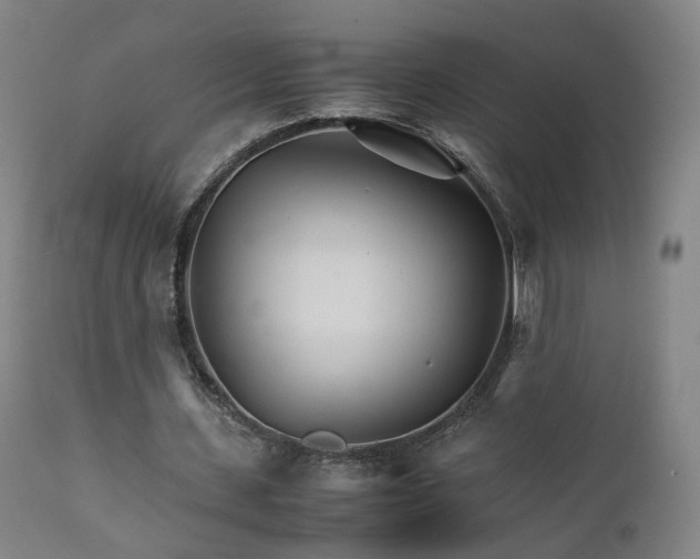 X0000111230531200907091338
