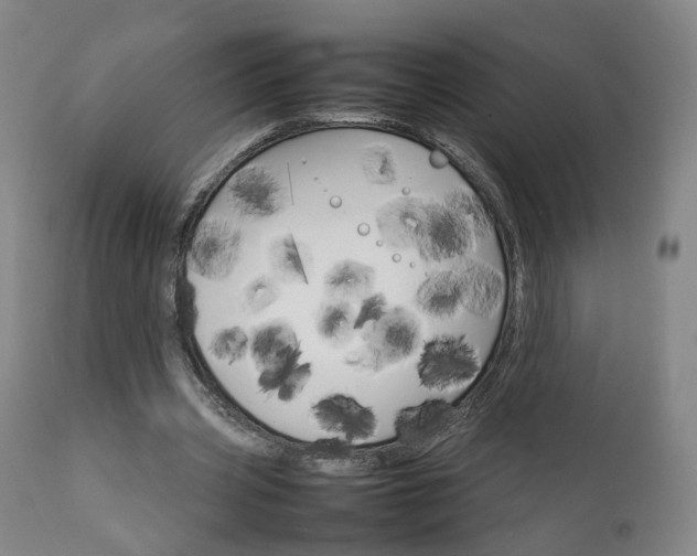 X0000111230533200907091338