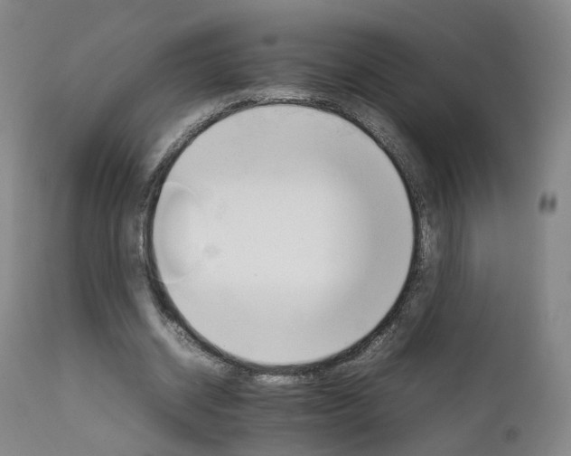 X0000111230534200907091338