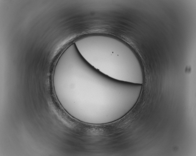 X0000111230535200907091338