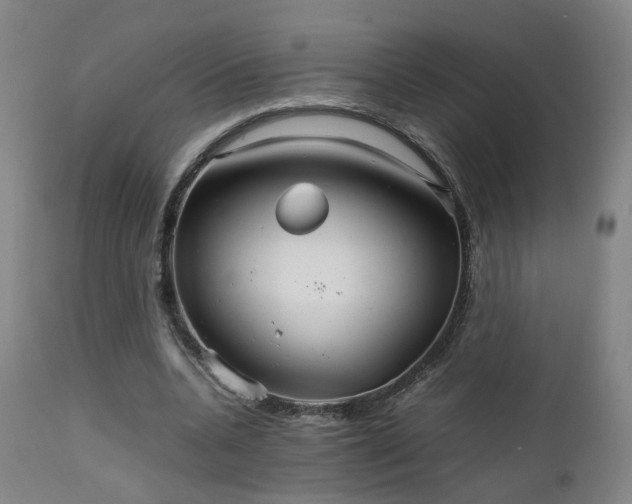 X0000111230536200907091338