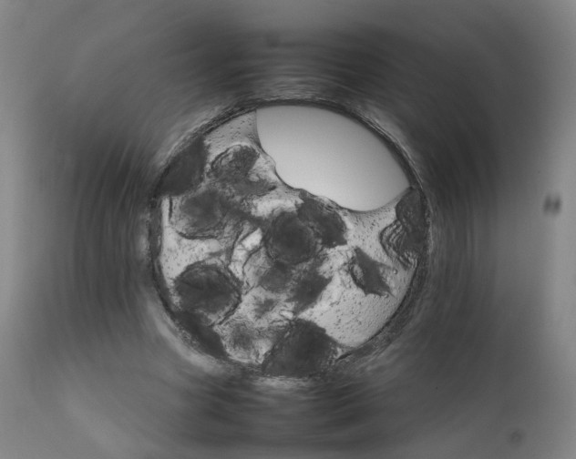 X0000111230537200907091338