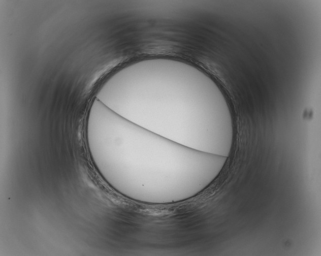 X0000111230539200907091338