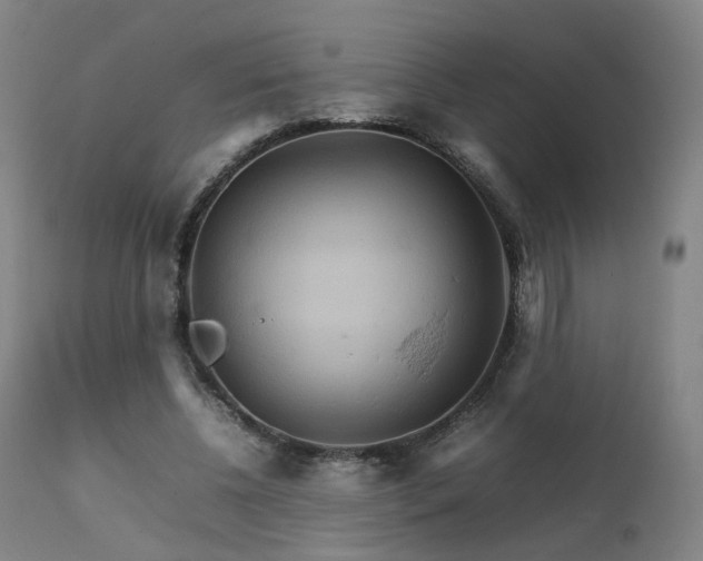 X0000111230540200907091338