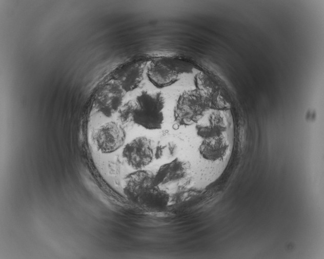 X0000111230541200907091338
