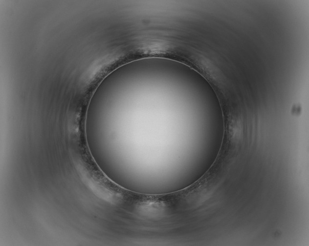 X0000111230543200907091338