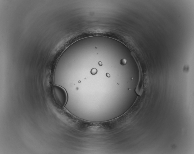 X0000111230544200907091338