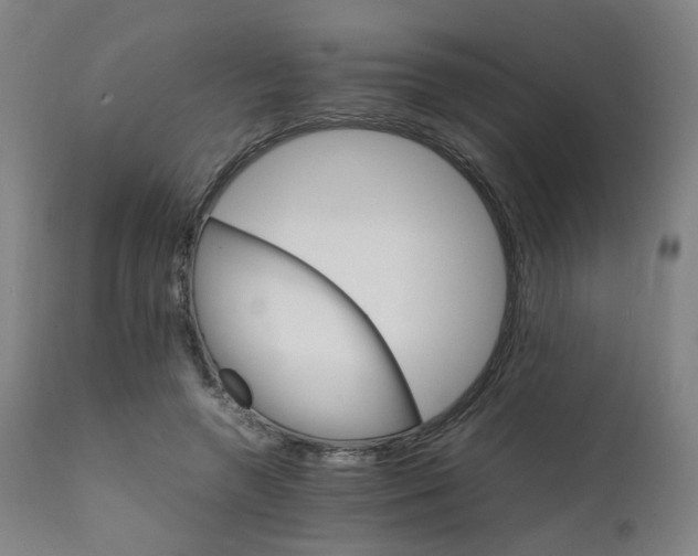 X0000111230546200907091338