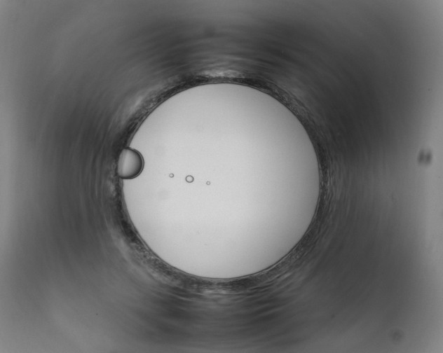 X0000111230547200907091338