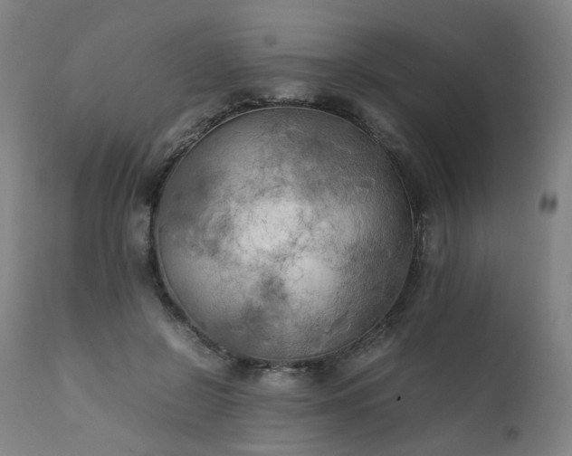 X0000111230550200907091338