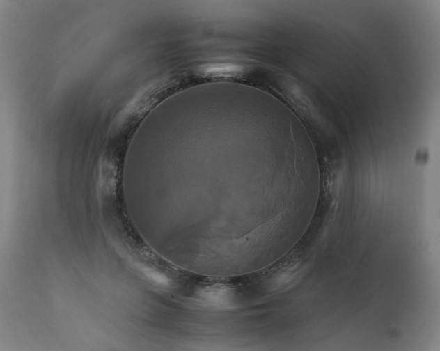 X0000111230551200907091338