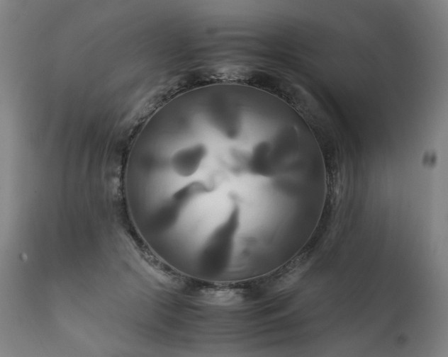 X0000111230553200907091338