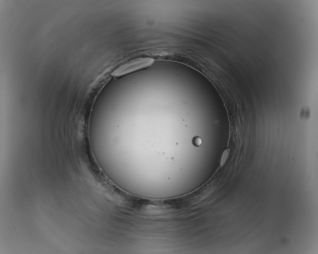 X0000111230556200907091338