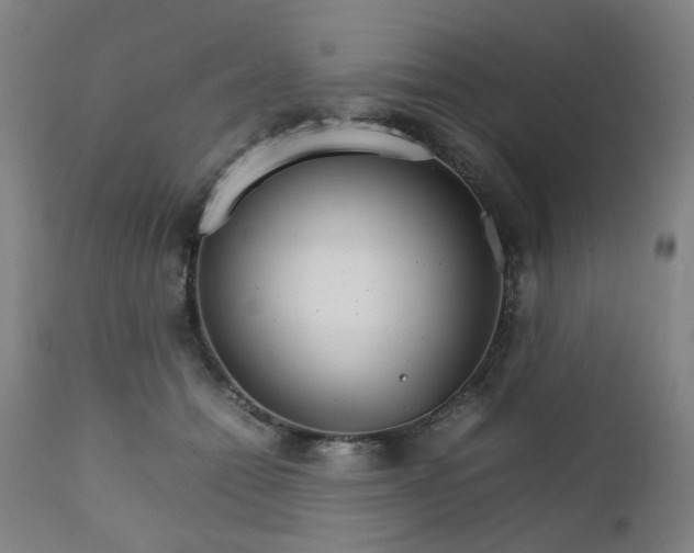 X0000111230558200907091338