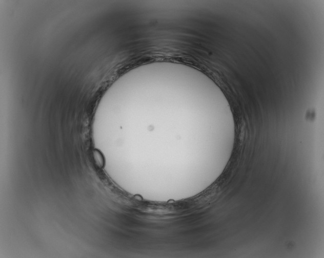 X0000111230559200907091338