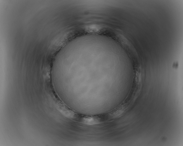 X0000111230561200907091338